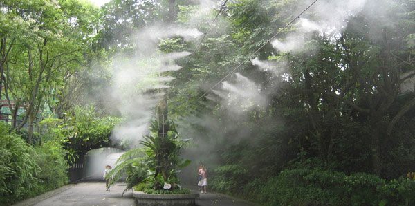 Lắp Đặt Hệ Thống Phun Sương Cao Áp Tại Khánh Hòa